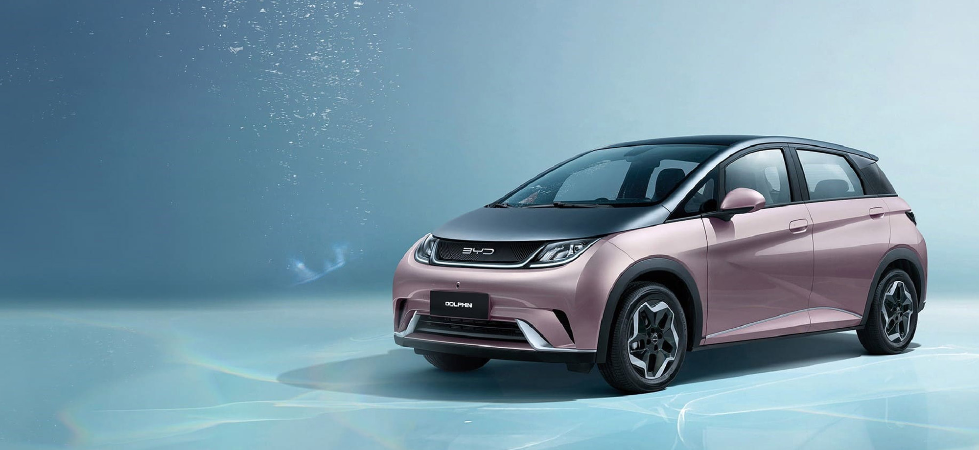 Banner Dolphin 920x Dec24